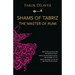 Shams of Tabriz: the master of Rumi