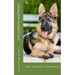 The german shepherd: the german shepherd