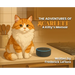 The Adventures of SCARLETT: A Kitty's Memoir
