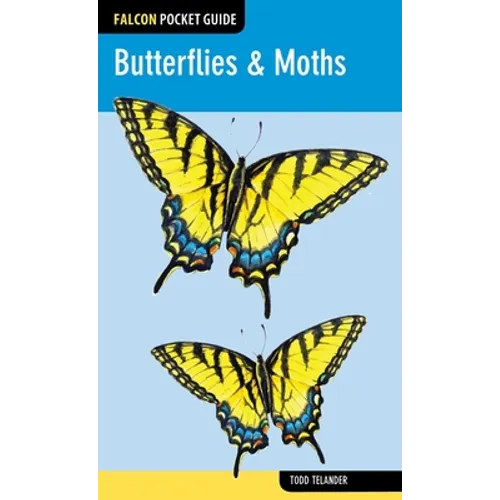 Butterflies & Moths