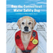 Bay the Connecticut Water Safety Dog: A Children's Water Safety Story