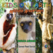 KIDS ON EARTH Wildlife Adventures - Explore The World Sifaka Lemur - Madagascar