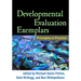 Developmental Evaluation Exemplars: Principles in Practice