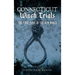 Connecticut Witch Trials: The First Panic in the New World