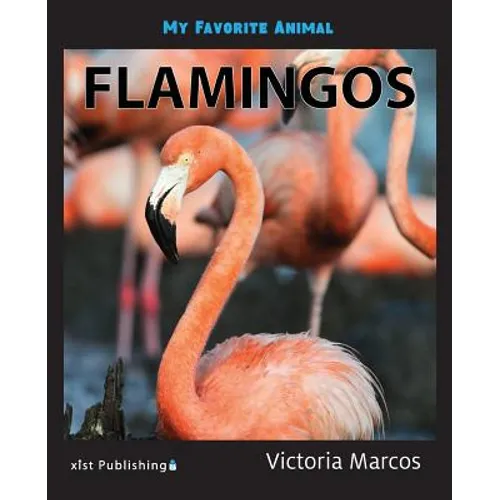 My Favorite Animal: Flamingos