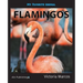 My Favorite Animal: Flamingos