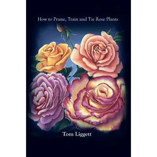 How To Prune, Train and Tie Rose Plants