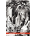 The Celtic Druids