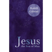 Jesus the Son of Man