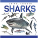 Sharks