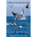 Offshore Sea Life Id Guide: West Coast
