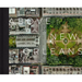 Above New Orleans: Roofscapes of the Crescent City