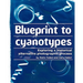 Blueprint to cyanotypes: Exploring a historical alternative photographic process