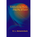Variational Principles