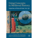 Using Concepts in Medieval History: Perspectives on Britain and Ireland, 1100-1500