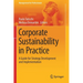 Corporate Sustainability in Practice: A Guide for Strategy Development and Implementation