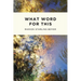 What Word for This