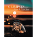 Glimpses... Now I Can See