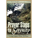 Prayer Steps to Serenity Daily Quiet Time Edition