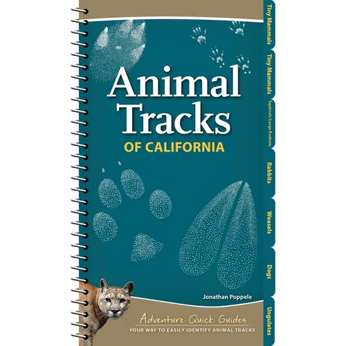 Animal Tracks of California: Your Way to Easily Identify Animal Tracks