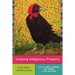Creating Indigenous Property: Power, Rights, and Relationships