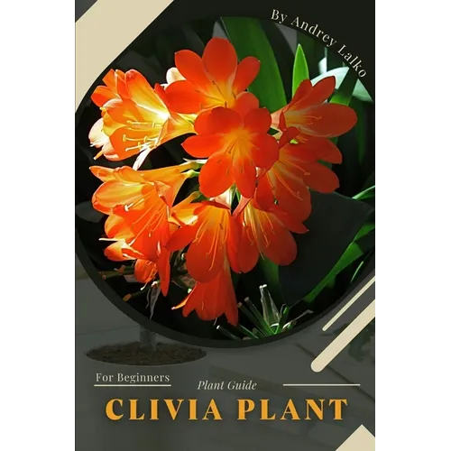 Clivia Plant: Plant Guide