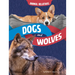 Dogs and Wolves: Canine Relatives