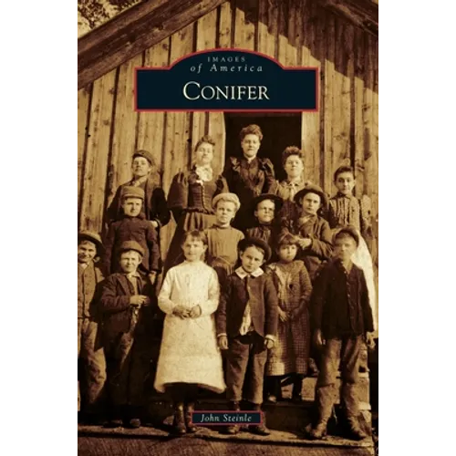 Conifer