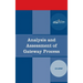Analysis and Assessment of Gateway Process