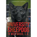 University Sheepdog in Westwood, L.A.