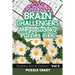 Brain Challengers Mega Sudoku Puzzles 16x16 Vol 2: Sudoku 16X16 Edition