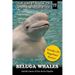 Beluga Whales: Gentle Giants of the Arctic Depths