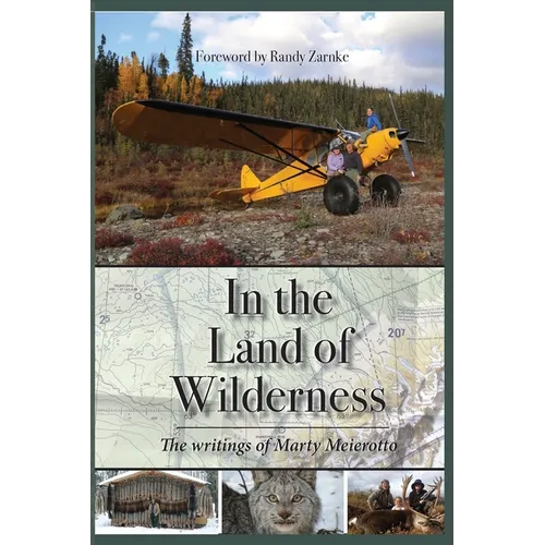 In the Land of Wilderness