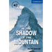 In the Shadow of the Mountain Level 5