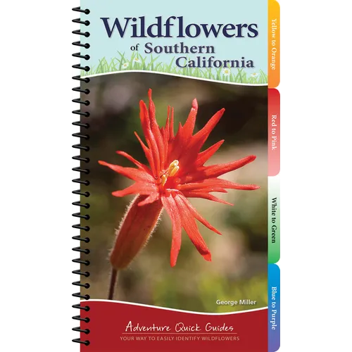 Wildflowers of Southern California: Your Way to Easily Identify Wildflowers