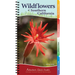 Wildflowers of Southern California: Your Way to Easily Identify Wildflowers
