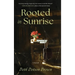 Rooted in Sunrise