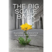 The Big Scale Back: Success and Balance by Your Own Design