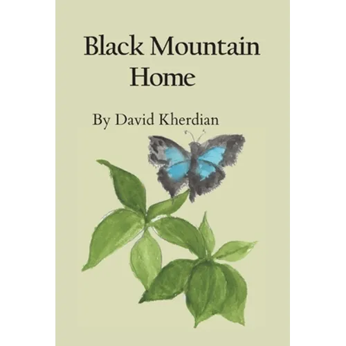 Black Mountain Home