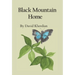 Black Mountain Home