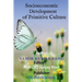 Socioeconomic Development of Primitive Culture