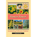Flower Power: Establishing Pollinator Habitat