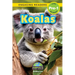 Koalas: Animals That Make a Difference! (Engaging Readers, Level Pre-1)