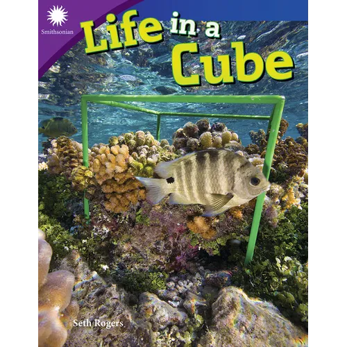 Life in a Cube