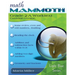 Math Mammoth Grade 2-A Worktext (Canadian Version)