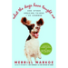 What the Dogs Have Taught Me: And Other Amazing Things I've Learned