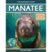 Manatee: Amazing Facts About Nature's Gentle Giants for Kids