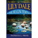 Lily Dale: The Healing Temple