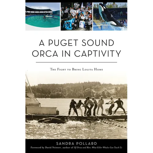A Puget Sound Orca in Captivity: The Fight to Bring Lolita Home