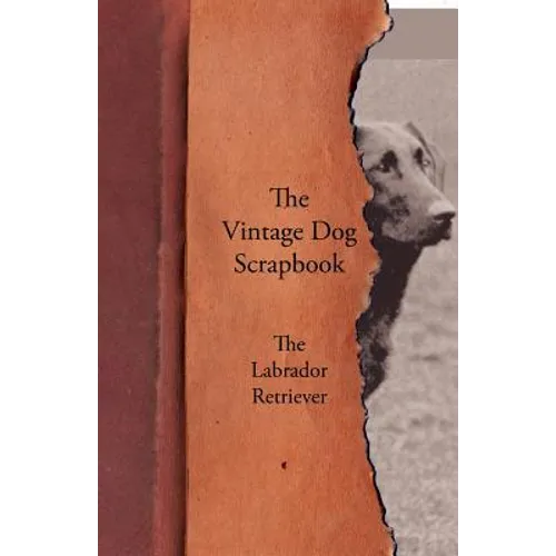 The Vintage Dog Scrapbook - The Labrador Retriever